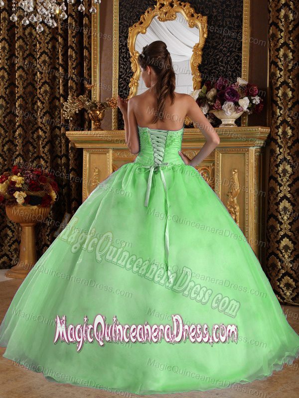 Lovely Princess Spring Green Sweetheart Beaded Organza Quinceanera Dresses