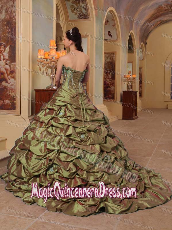 Olive Green Strapless Pick-ups Taffeta Quinceanera Dress with Train in El Paso
