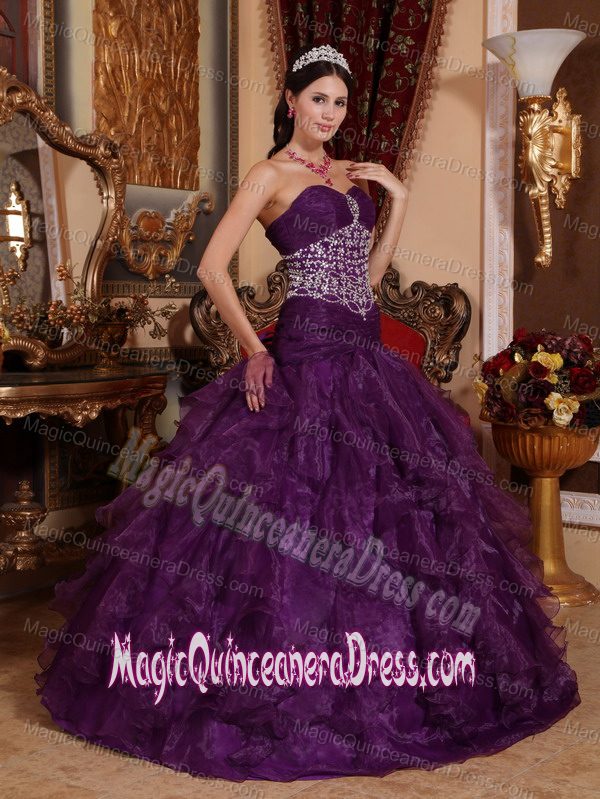 Long Sweetheart Organza Beaded A-line Purple Quinceanera Dress in Knoxville