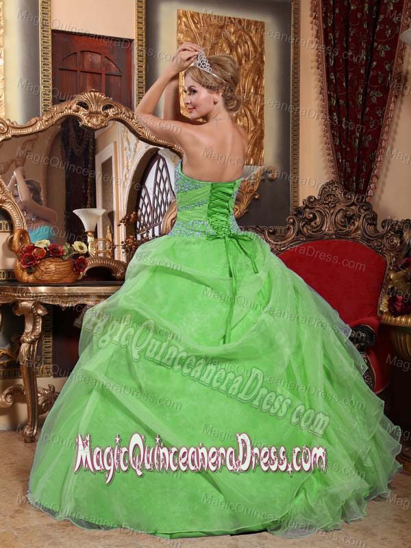 Lovely Spring Green Sweetheart Appliques and Ruching Quinceanera Ball Gown