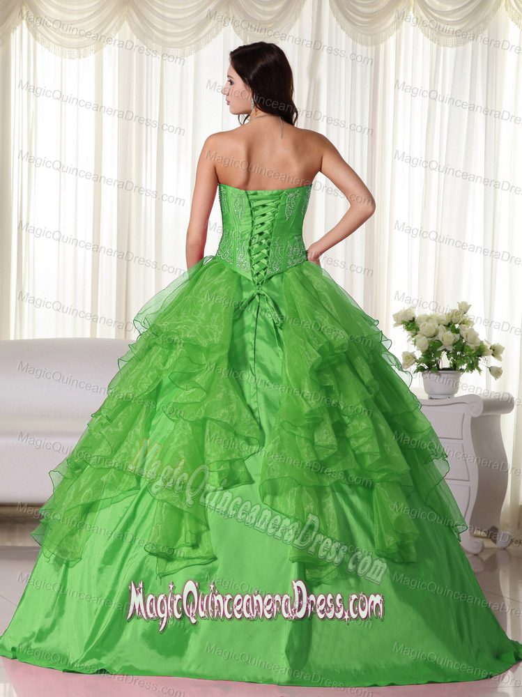 Green Sweetheart Floor-length Organza Embroidery Quinceanera Ball Gown