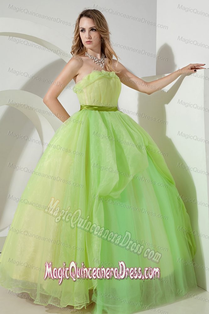 Spring Green Princess Strapless Organza Ruching Quinceanera Dress in Wellesley