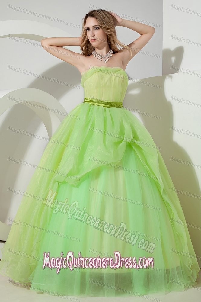 Spring Green Princess Strapless Organza Ruching Quinceanera Dress in Wellesley