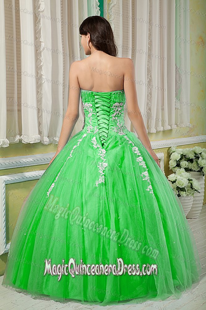 Spring Green Sweetheart Tulle Appliques Quinceanera Dress in Southborough