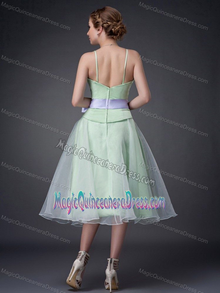 Cute Apple Green Tea-length Dama Dress with Straps and Bowknot in Erie