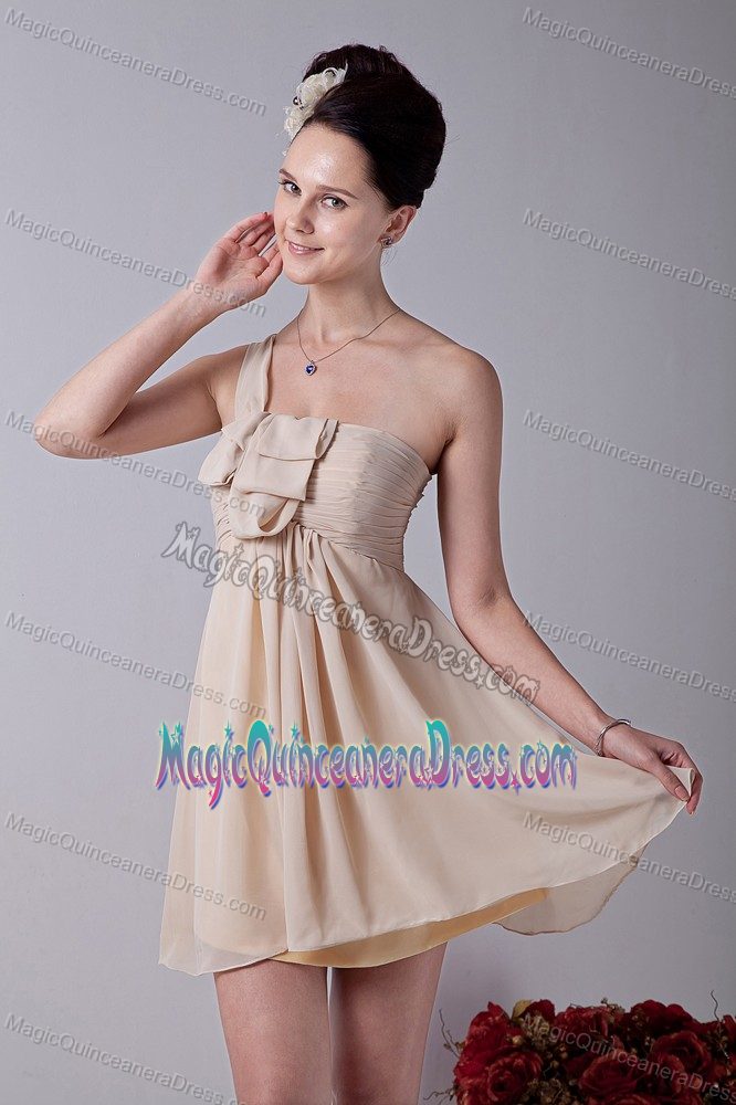 One Shoulder Mini-length Chiffon Ruched 15 Dresses For Damas in Champagne