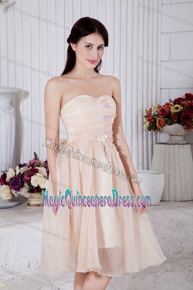 Strapless Knee-length Party Dama Dresses in Organza with Appliques in Pullman