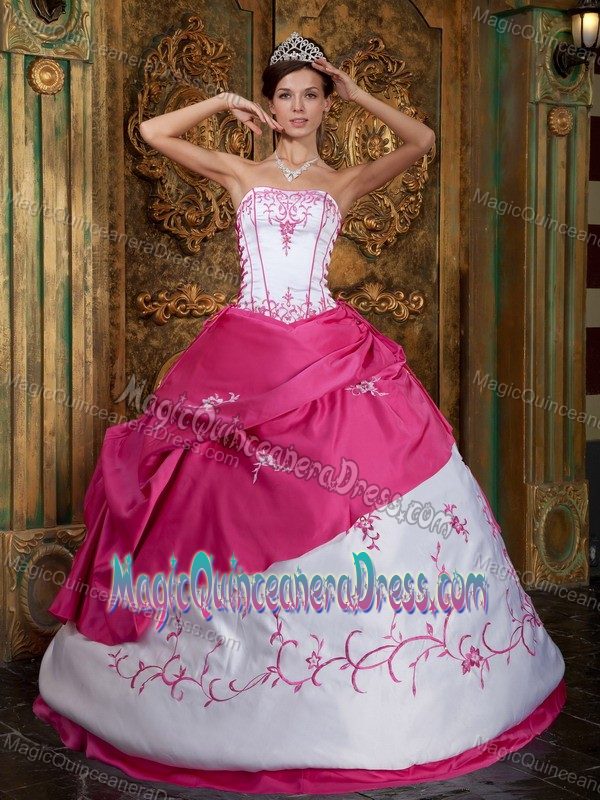 Lace-up Fuchsia and White Full-length Quinceaneras Dress with Embroidery