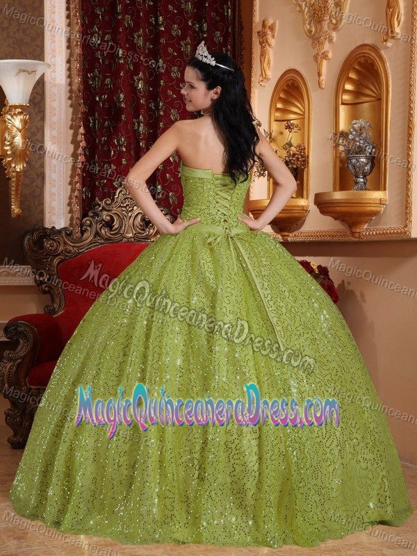 New Olive Green Strapless Floor-length Quinceanera Dresses with Sequins