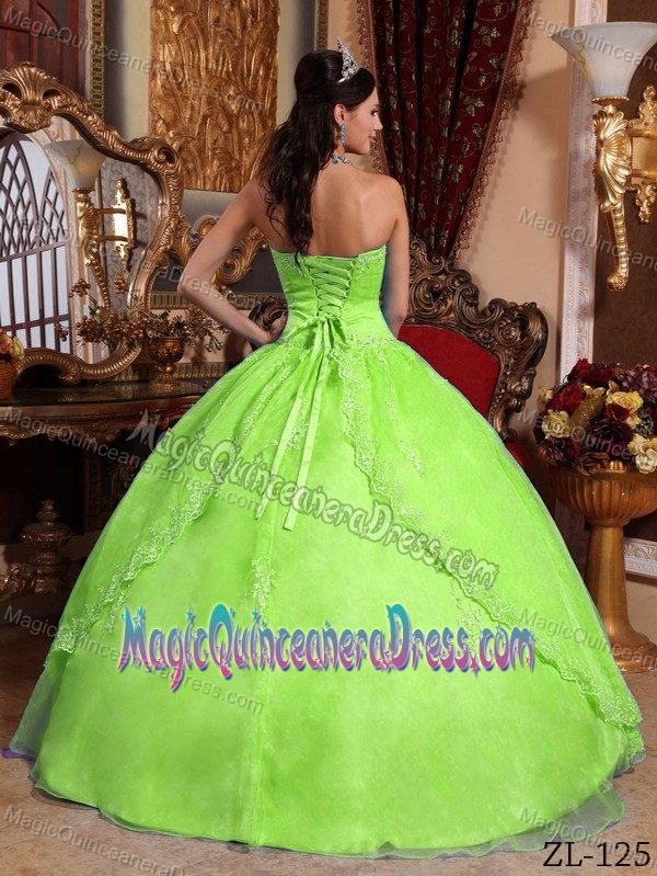 Bright Yellow Green Strapless Floor-length Sweet 16 Dress with Appliques