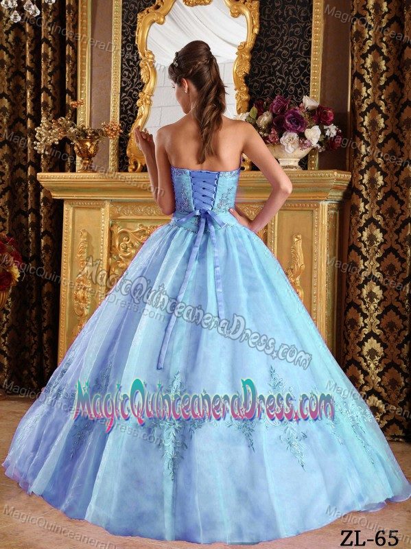 Lovely Baby Blue Strapless Long Quince Dresses with Embroidery in Troy