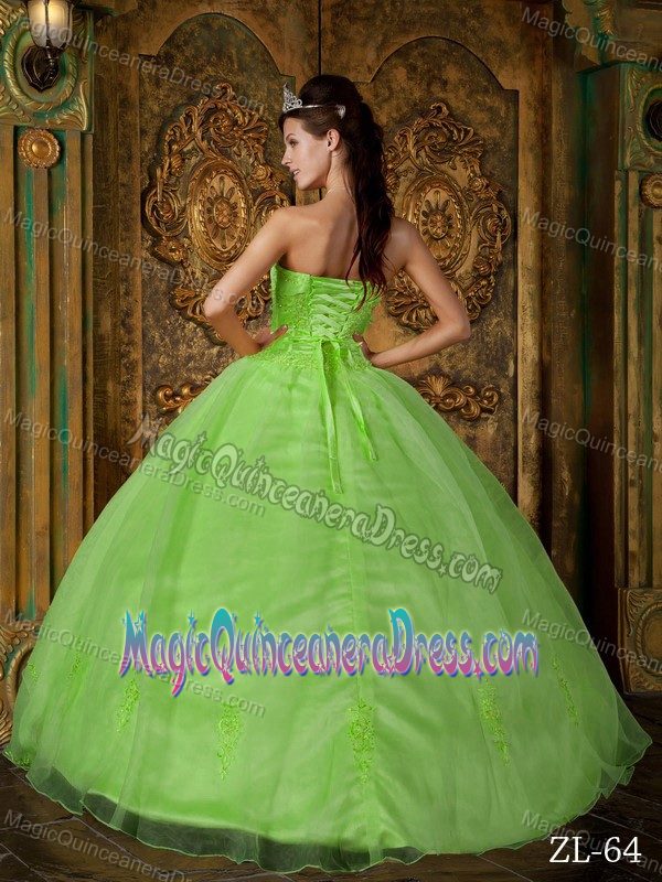 Yellow Green Strapless Full-length Sweet 16 Dress with Appliques in Troy