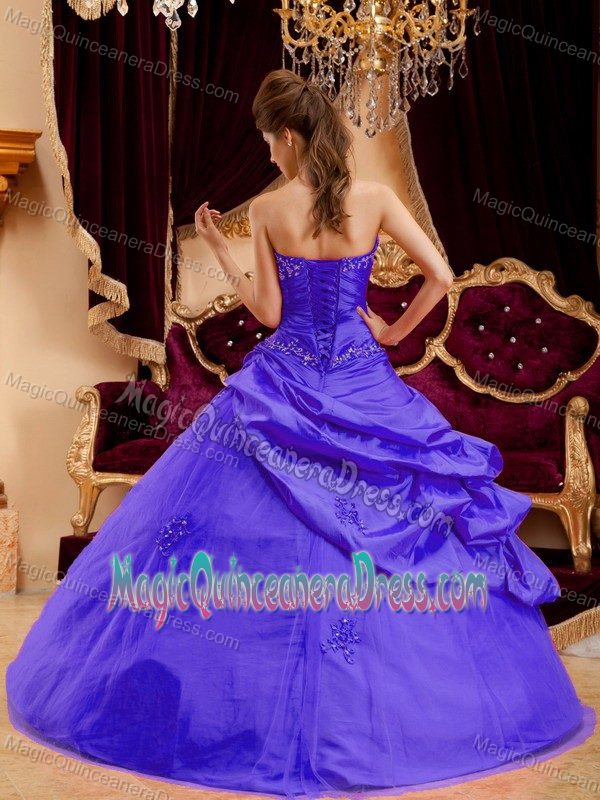 Special Purple Appliqued Strapless Long Sweet Sixteen Dress with Pick-ups