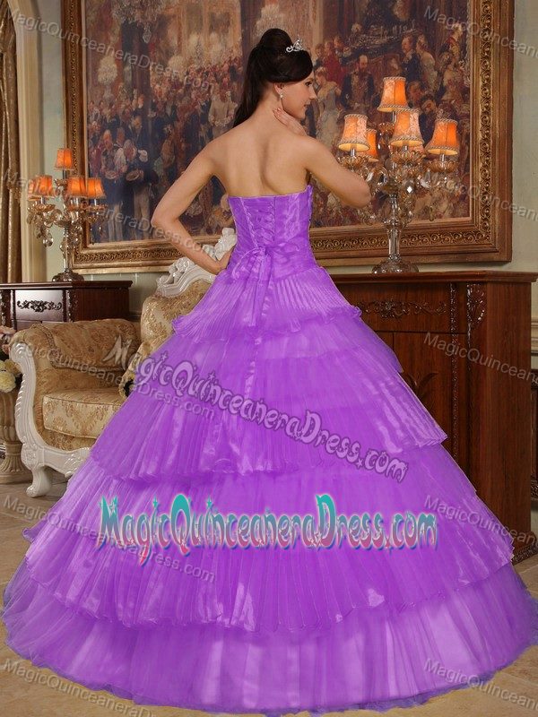 Timeless Purple Strapless A-line Quinceanera Gown Dresses with Appliques