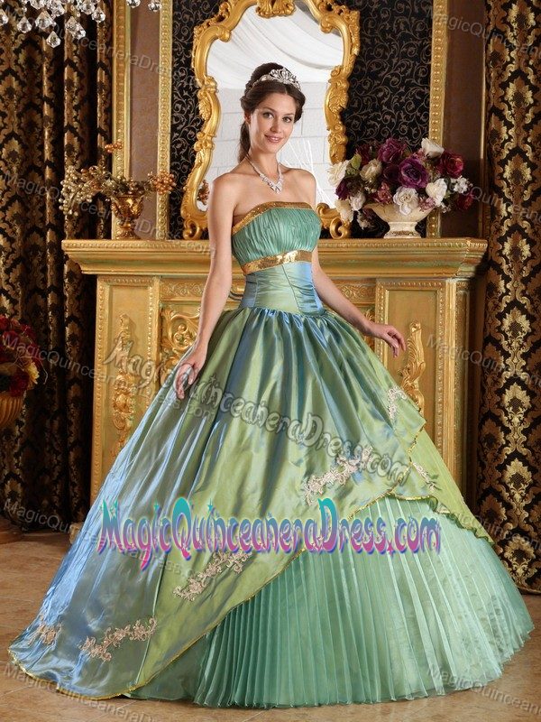 Pleated Olive Green A-line Strapless Quinceanera Gown with Pattern in Adel