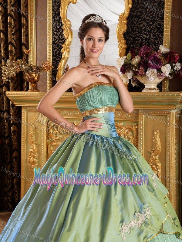 Pleated Olive Green A-line Strapless Quinceanera Gown with Pattern in Adel
