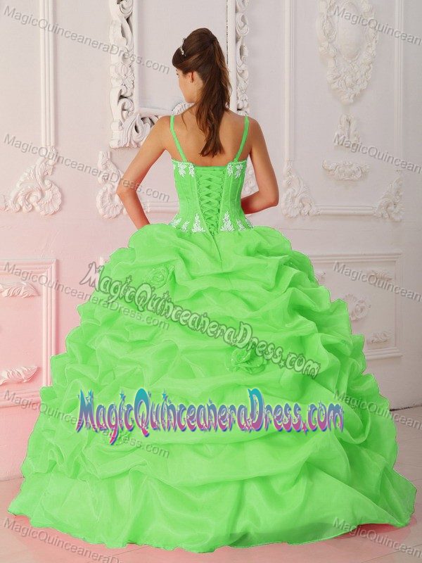 Spring Green Straps Floor-length Quince Dress with Appliques in Crandon