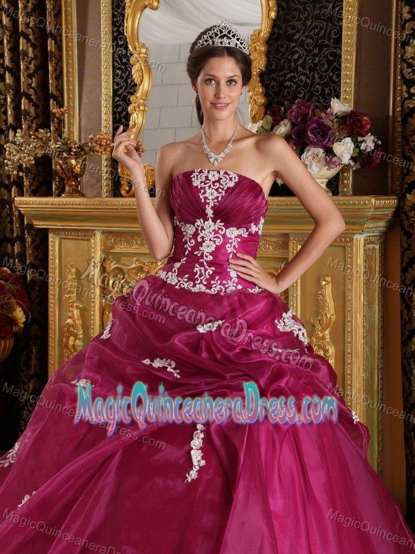 Appliqued Wine Red Strapless Quinceanera Dresses with Lace Up in Custer