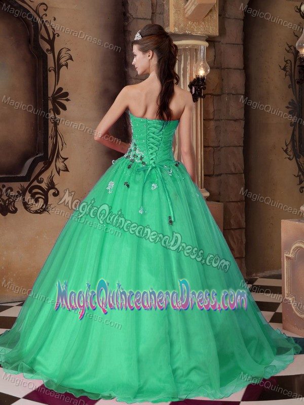 Green A-line Sweetheart Floor-length Quinceanera Gowns with Appliques