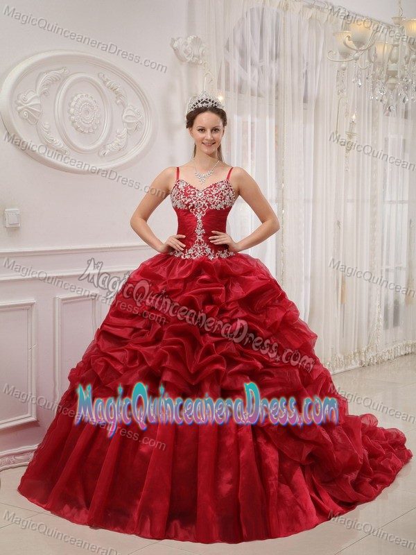 Appliqued Spaghetti Straps Quince Dresses in Wine Red with Court Train
