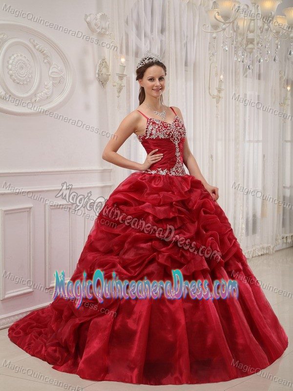 Appliqued Spaghetti Straps Quince Dresses in Wine Red with Court Train