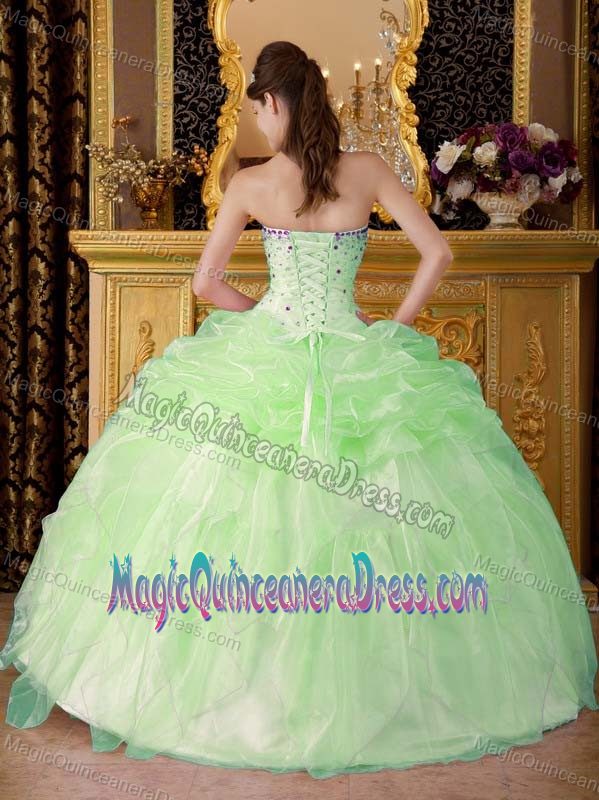 Apple Green Strapless A-line Sweet 16 Dresses with Appliques and Ruffles