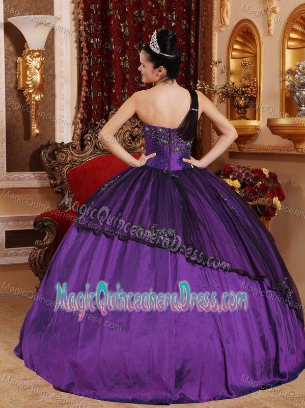 Appliqued One Shoulder Quinceanera Dresses in Dark Purple in Brantwood