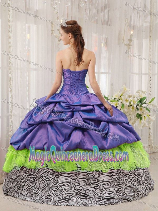 Exclusive Colorful Strapless Quince Dresses in Floor-length with Pick-ups