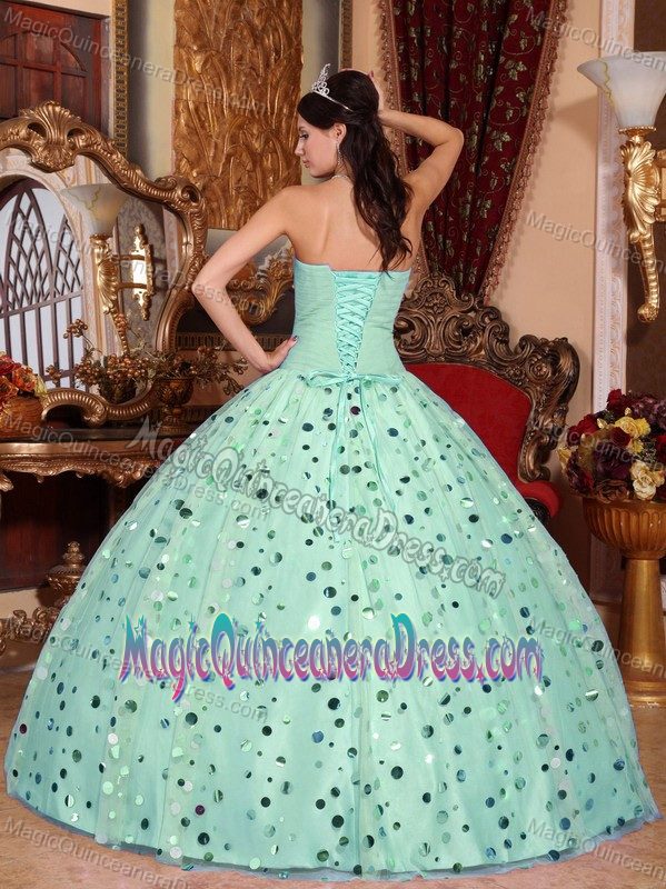 Apple Green Sweetheart A-line Sweet 15 Dresses with Sequins in Ettrick