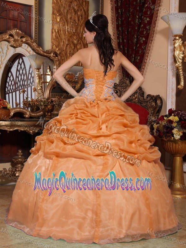 Ruffled Orange Strapless Quinceanera Gown Dress with Pick-ups in Guin