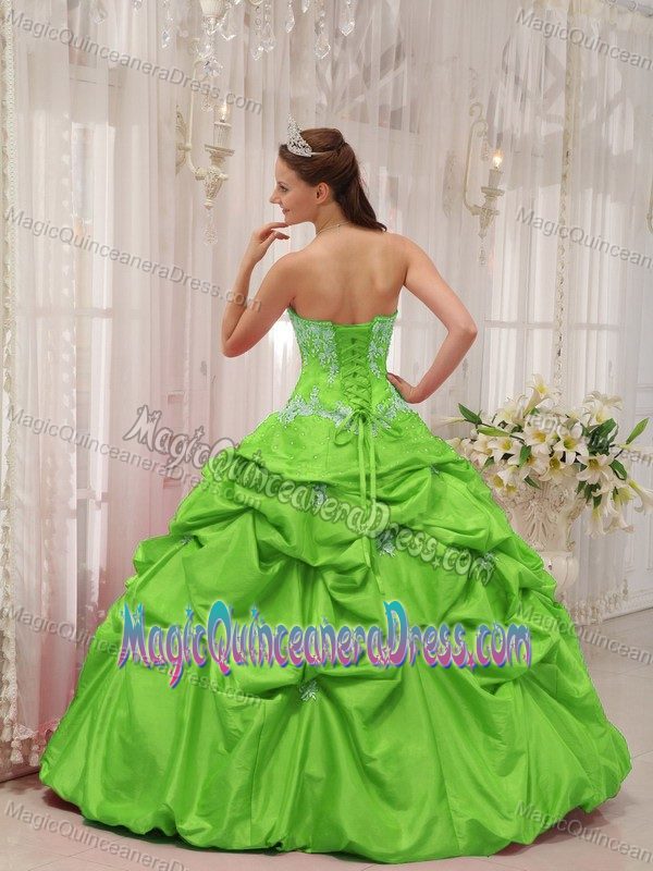 Spring Green Sweetheart Sweet 16 Dresses in Floor-length with Pick-ups