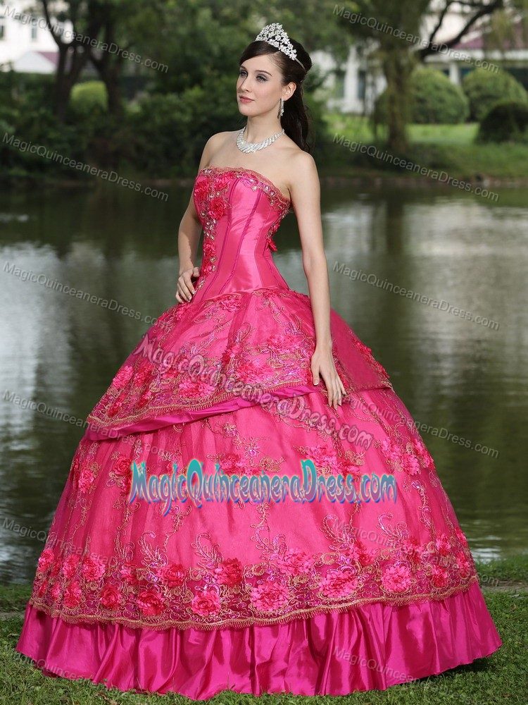 Memorable Hot Pink Appliqued Quinceanera Dress with Floral Embellishment