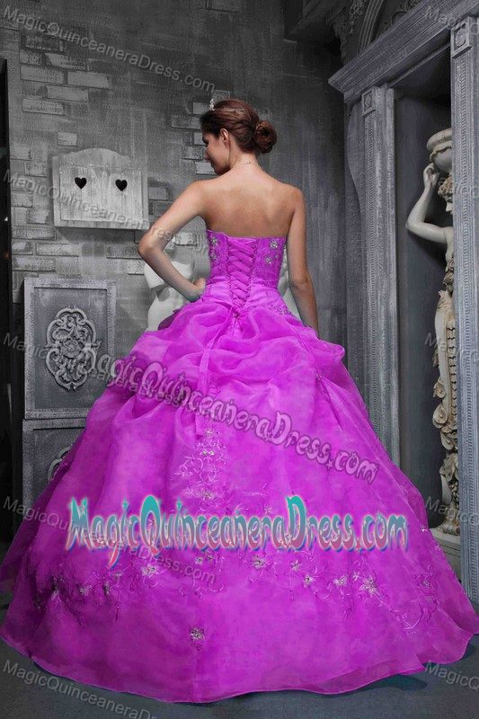 New Arrival Organza Light Purple Quinceanera Gown Dresses with Appliques
