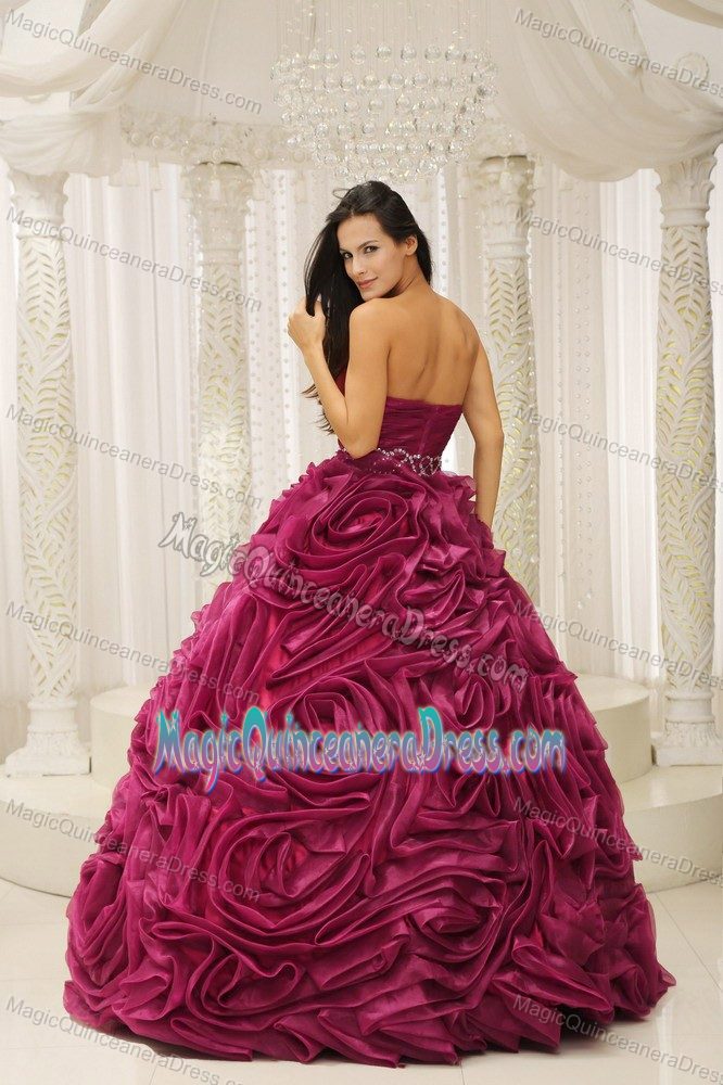 Fabulous Red Sweet Sixteen Quinceanera Dresses with Rolling Flowers