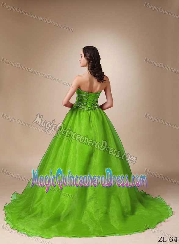 Impressive Court Train Lace-up Beaded Sweet 15 Dresses in Spring Green