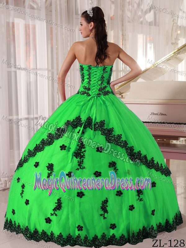2012 Top Appliqued Spring Green Sweet 15 Dresses in El Alto Bolivia