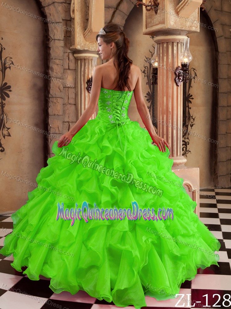 Snappy Ruffled Beaded Ball Gown Dress for Quinceanera in Spring Green
