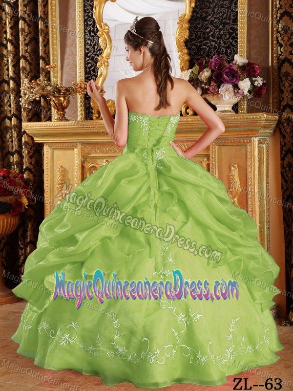 New Pick-ups Yellow Green Sweet 15 Dresses with Embroidery Patterns