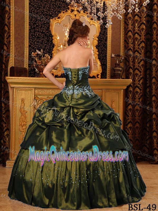 Mature Appliqued Olive Green Quinceanera Gown Dresses with Pick-ups