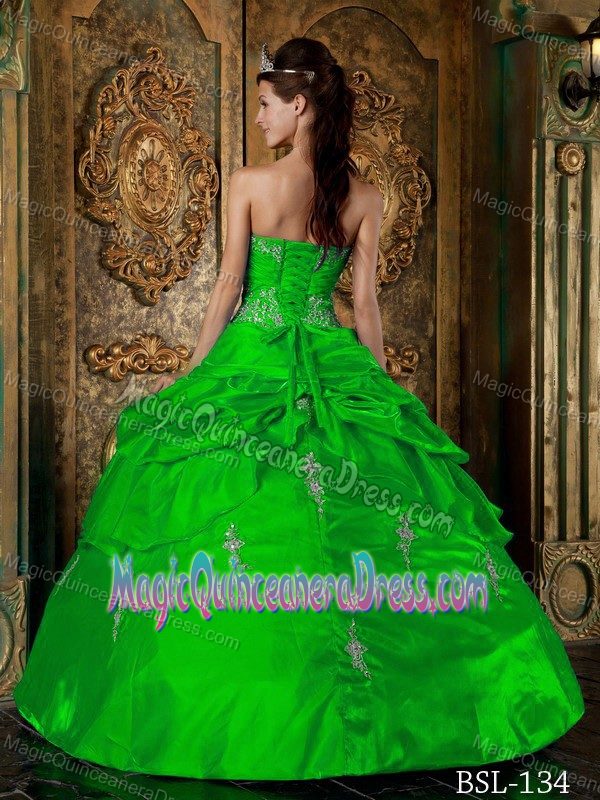 Green Sweetheart Taffeta Quinceanera Sweet Sixteen Dress with Appliques in Erie