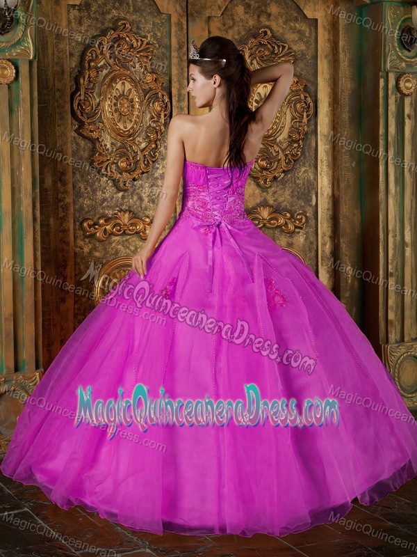 Fuchsia Sweetheart Organza with Appliques Quinceanera Dress in Doylestown