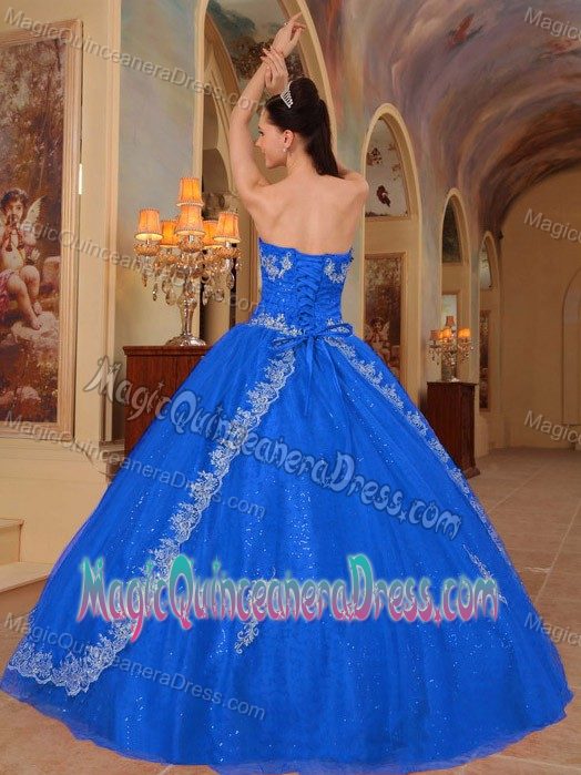 Blue Sweetheart Organza and Sequin Embroidery and Beading Sweet 16 Dress