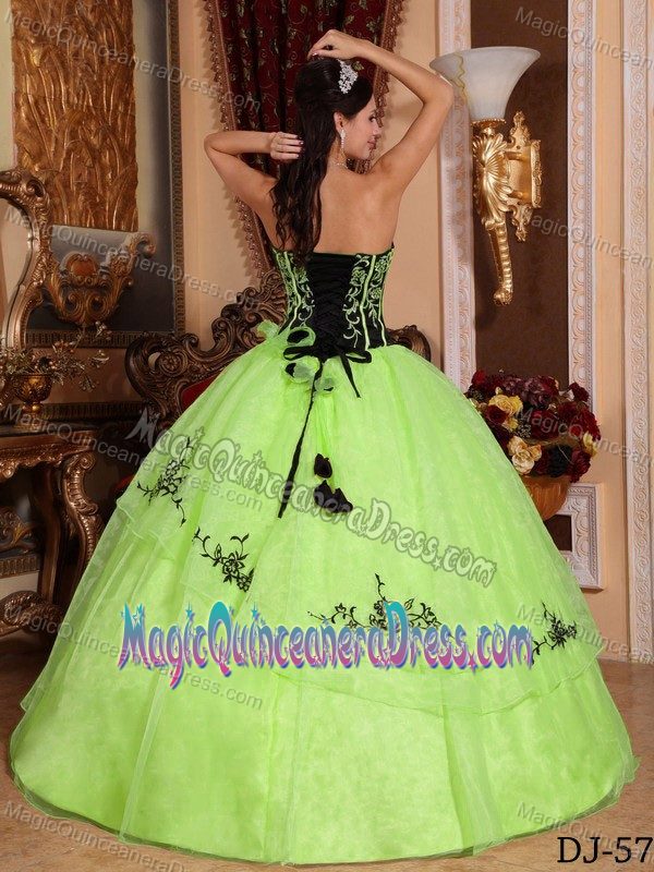 Yellow Green Strapless Organza Embroidery Quinceanera Dress in Salem