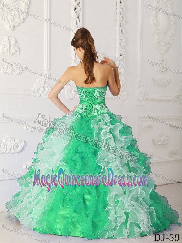 Multi-color A-Line Sweetheart Organza and Zebra Beading Quinceanera Dress