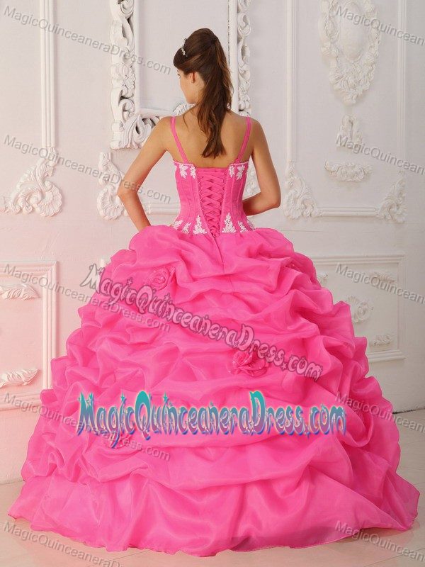Pink Straps Hand Made Flowers and Appliques Quinceanera Dress in Beaverton