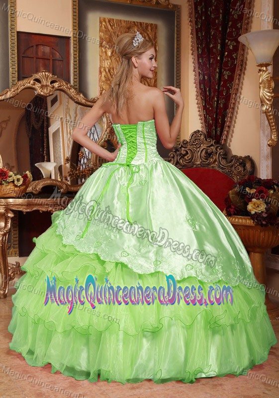 Spring Green Sweetheart Taffeta and Organza Embroidery Quinceanera Dress