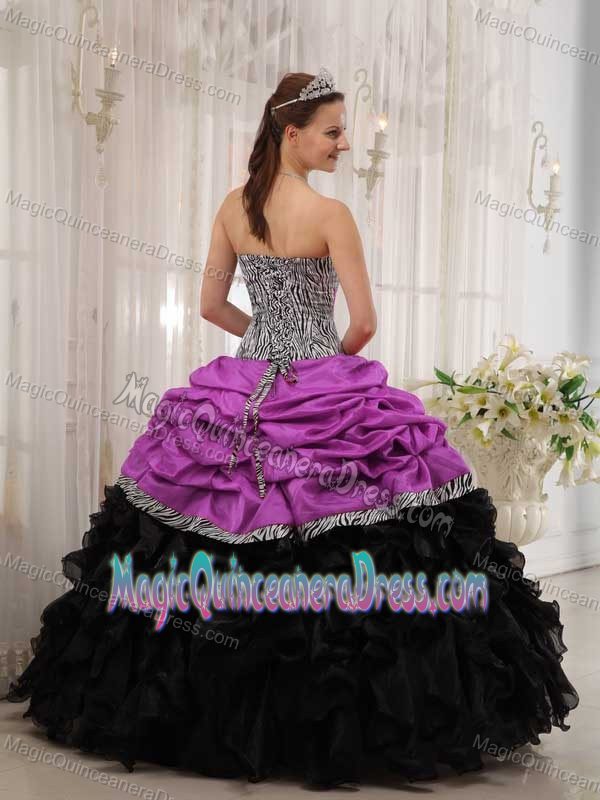 Brand New Fuchsia and Black Sweetheart Quince Dress with Zebra and Pick-ups