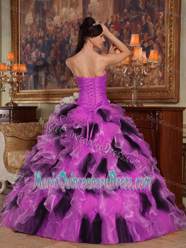 Fuchsia and Black Ball Gown Strapless Organza Quinceanera Dress in Mentor