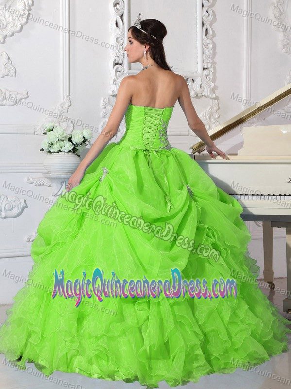 Bright Spring Green Strapless Organza Beading Quinceanera Dress in Kent