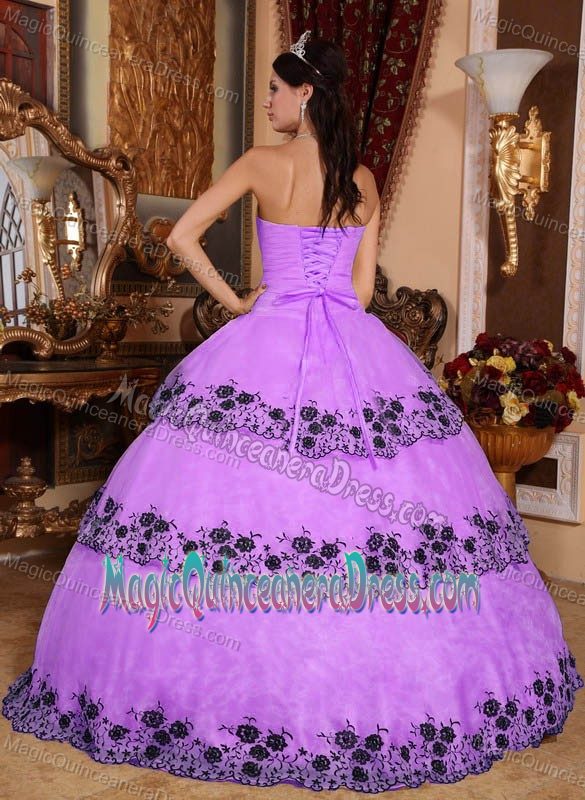 Lilac Strapless Organza Lace Appliques Quinceanera Dress in Bowling Green